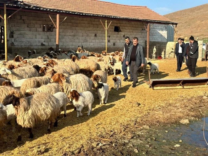Depremden Etkilenen Yetiştiricilere 43 Bin Hayvan Dağıtıldı 