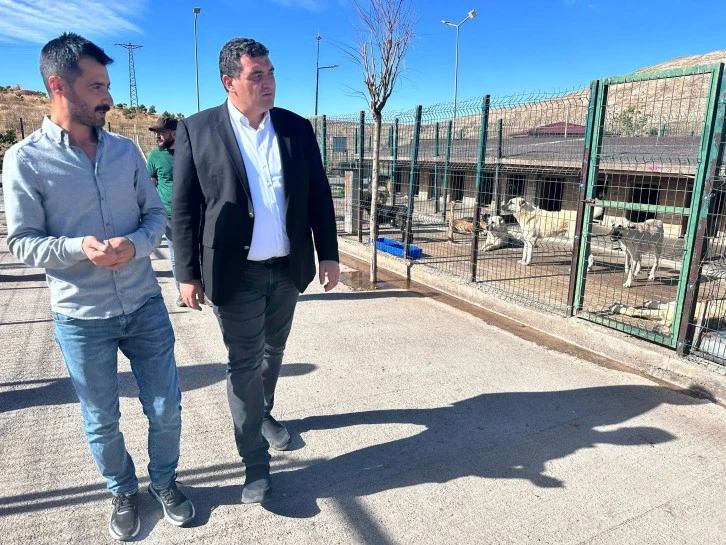 CHP Sivas Milletvekili Ulaş Karasu 30 Hayvanın Öldüğü  Barınağı İnceledi: Barınağın Durumu İçler Acısı!