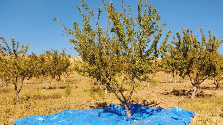 Sivas’ta Yapılamaz Denileni Başardı