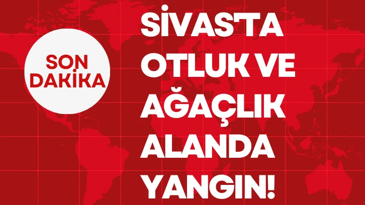 Sivas'ta Otluk ve  Ağaçlık Alanda Yangın! 