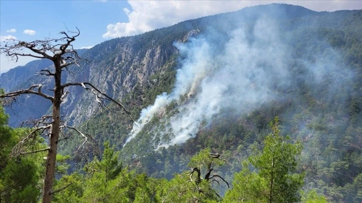 3 Gün Önce Başlayan Yangına Müdahale Sürüyor 