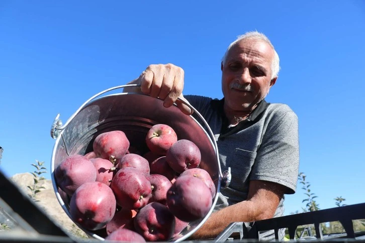 Sivaslı Girişimci Tekkeyi Bekledi Çayı İçti 