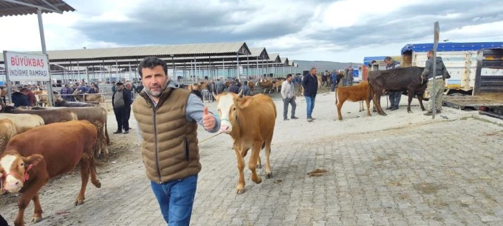 Şarkışla'daki Hayvan Pazarı Cumartesi Açılıyor 
