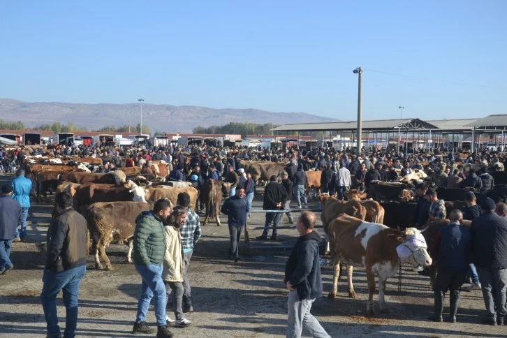 5 Aydır Kapalıydı, Bugün Açıldı, Sivaslılar Akın Etti 
