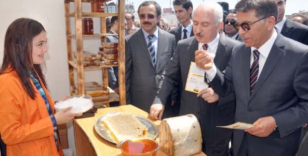 Arı Varsa Hayat Var