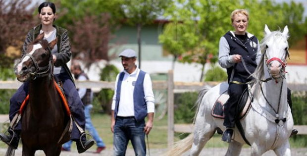 Emekli Şampiyonlarla Binicilik Eğitimi