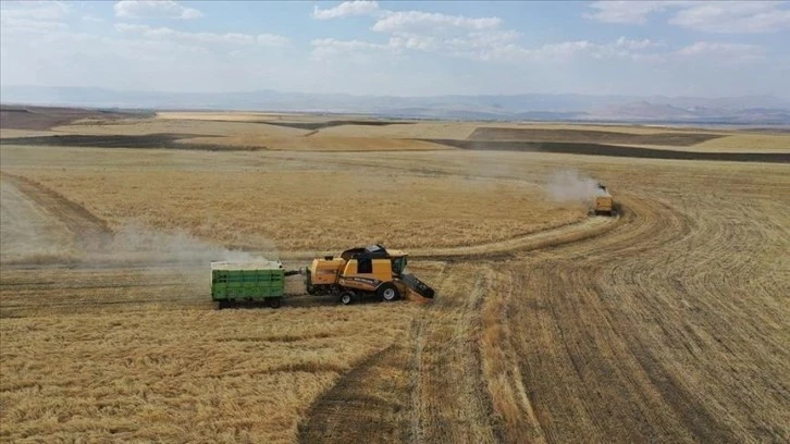 Çiftçi Destek Ödemeleri Bugün Hesaplara Yatacak 