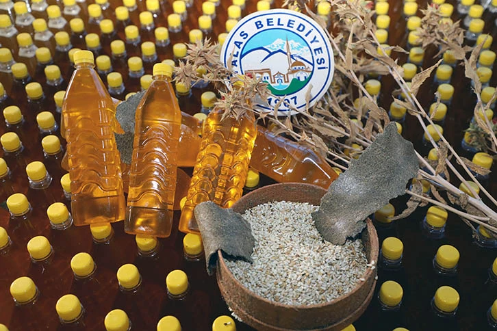 Hasat Edilen Aspirin Yağı Depremzedelere Gönderilecek