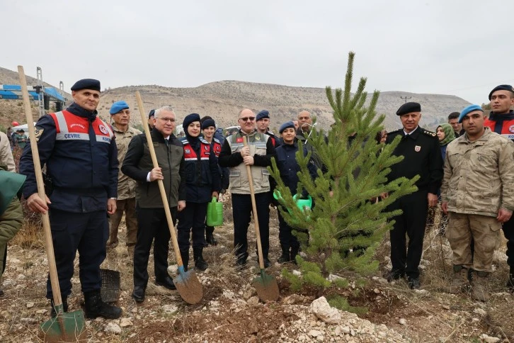 Sivas'ta Cumhuriyet'in 100. Yılında 100 Bin Fidan 