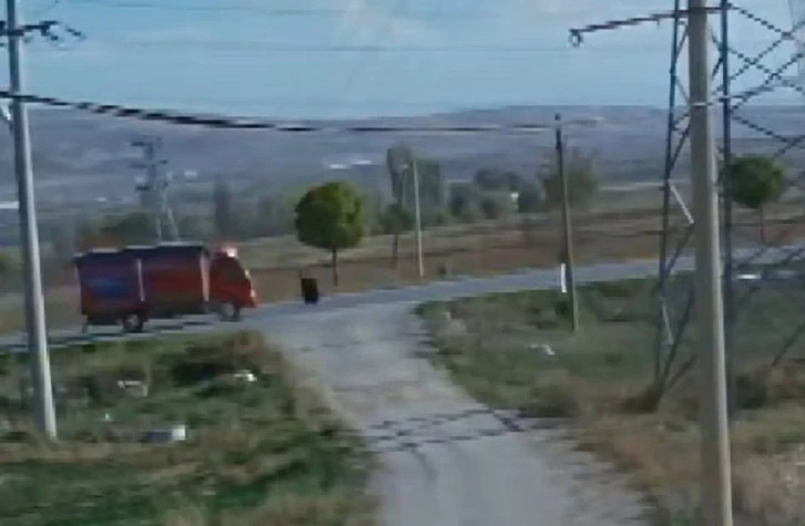 Kamyon Çarptığı Yaşlı Kadını Hayattan Kopardı