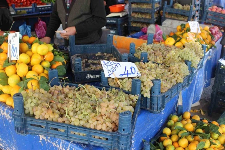 Zam Şampiyonu Üzüm