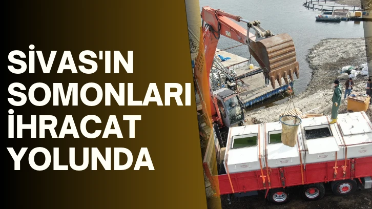 Sivas'ın Somonları İhracat Yolunda