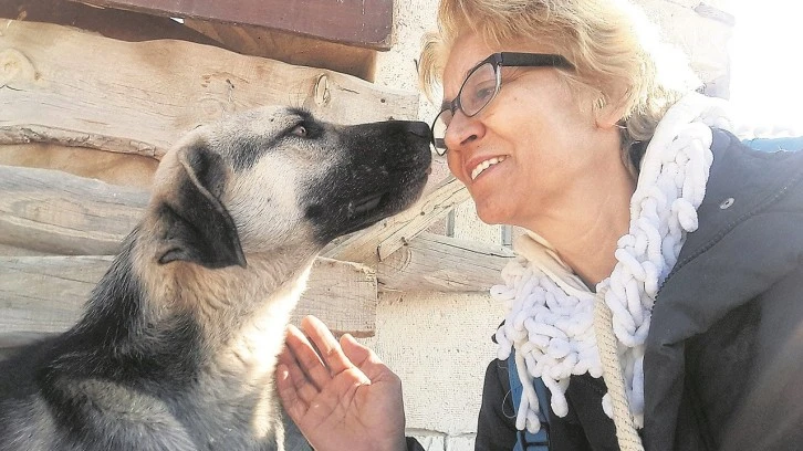 Uzmanı Uyardı Sokak Hayvanlarına Dişlerinizi Göstermeyin