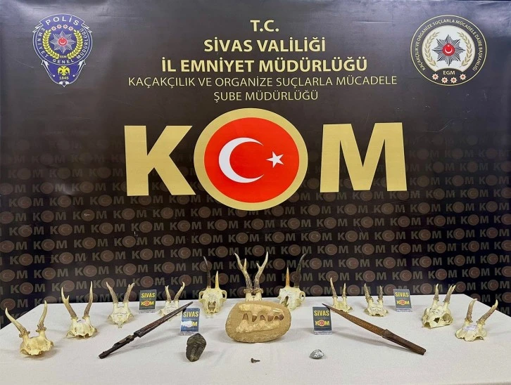 Sivas'ta Bir Evden Tarih Çıktı