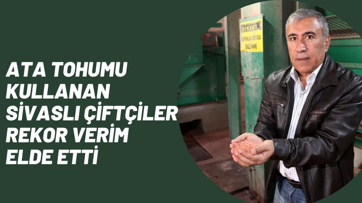 Ata Tohumu Kullanan Sivaslı Çiftçiler Rekor Verim Elde Etti 