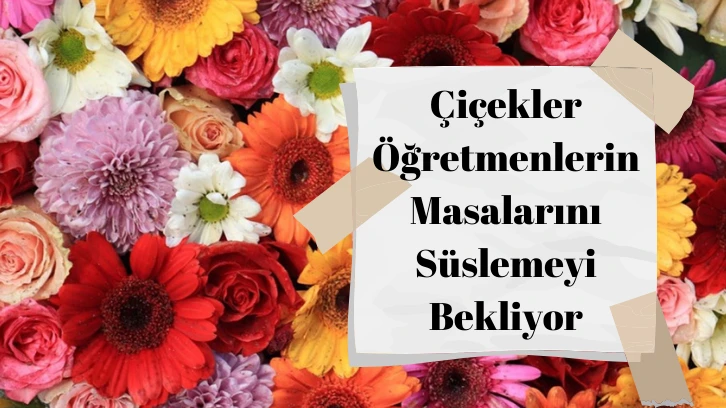 Çiçekler Öğretmenlerin Masalarını Süslemeyi Bekliyor