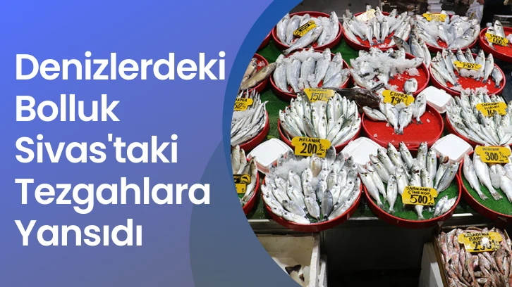 Denizlerdeki Bolluk Sivas'taki Tezgahlara Yansıdı 