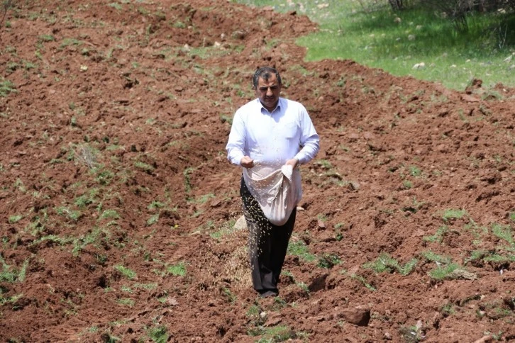TZOB Genel Başkanından Ekim Tarihi İle İlgili Açıklama 