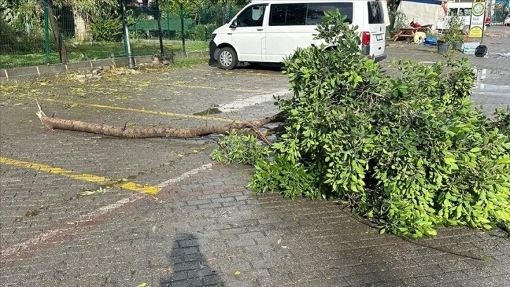 Hortum Ağaçları Devirdi, Arabalara Hasar Verdi