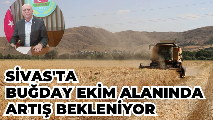 Sivas'ta Buğday Ekim Alanında Artış Bekleniyor 