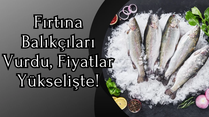 Fırtına Balıkçıları Vurdu, Fiyatlar Yükselişte!