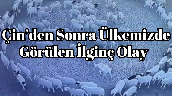 Çin’den Sonra Ülkemizde Görülen İlginç Olay 