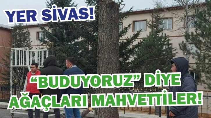 'Buduyoruz' Diyerek Ağaçları Mahvettiler 
