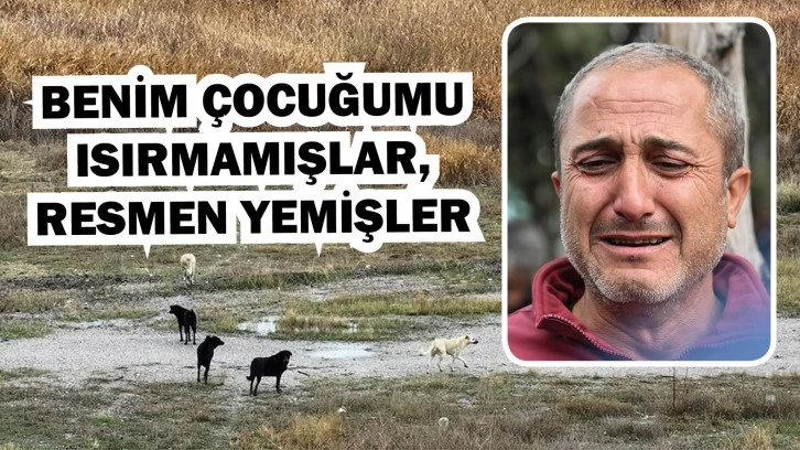 Köpeklerin Parçaladığı Çocuğun Babası Konuştu: ' Benim Çocuğumu Isırmamışlar, Resmen Yemişler'
