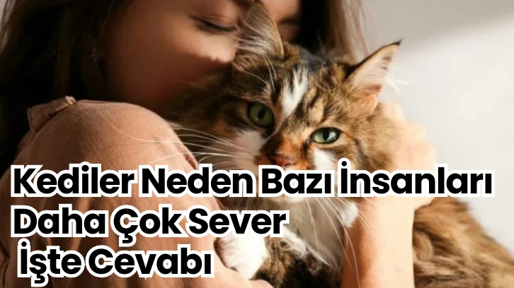 Kediler Neden Bazı İnsanları Daha Çok Sever İşte Cevabı 