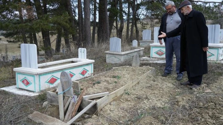 Kış Uykusuna Yatamayan Ayılar Tehlike Saçıyor 