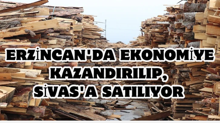 Erzincan'da Ekonomiye Kazandırılıp, Sivas'a Satılıyor 