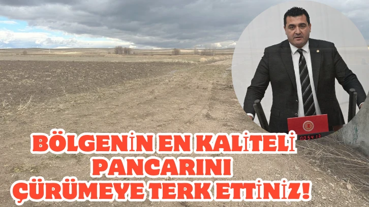 Bölgenin En Kaliteli Pancarını Çürümeye Terk Ettiniz! 