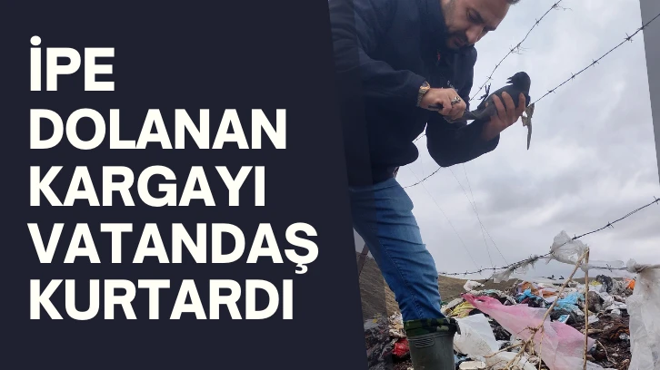 İpe Dolanan Kargayı Vatandaş Kurtardı 