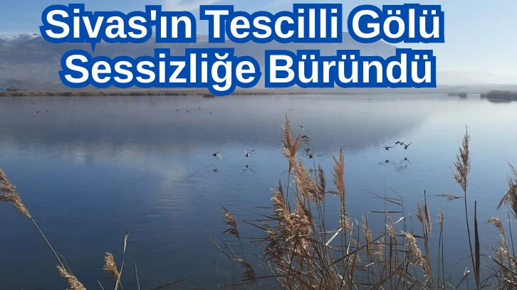 Sivas'ın Tescilli Gölü Sessizliğe Büründü 