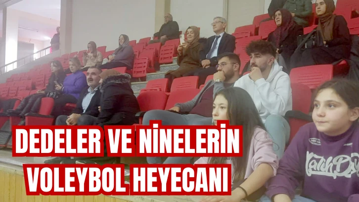 Dedeler ve Ninelerin Voleybol Heyecanı 