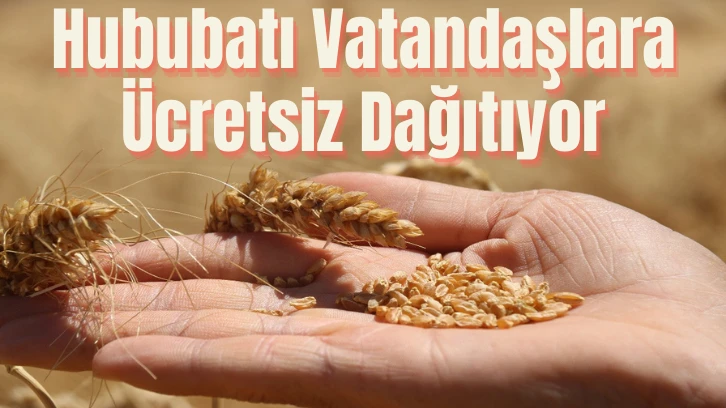 Hububatı Vatandaşlara Ücretsiz Dağıtıyor 