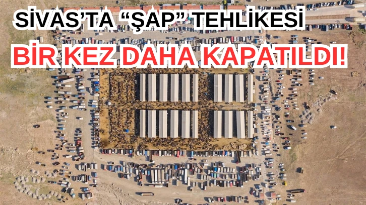 Sivas'ta 'Şap' Tehlikesi! Bir Kez Daha Kapatıldı!