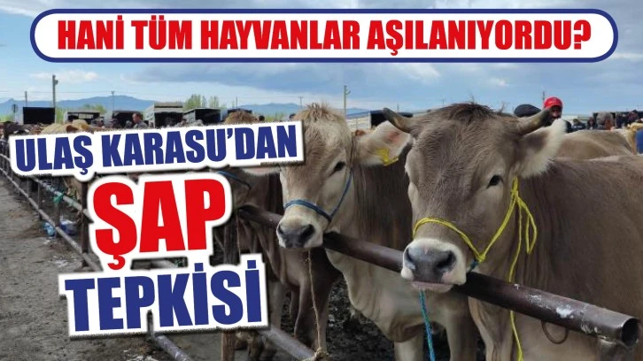 Ulaş Karasu'dan Şap Tepkisi: Hani Tüm Hayvanlar Aşılanıyordu?