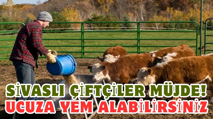 Sivaslı Çiftçilere Müjde! Ucuz Yem Alabileceksiniz 