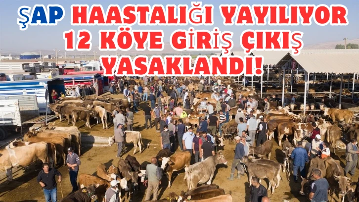 Sivas'tan Sonra 12 Köye Giriş Çıkışlar Yasaklandı 