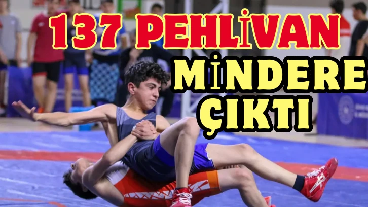 Sivas'ta 137 Pehlivan Mindere Çıktı 