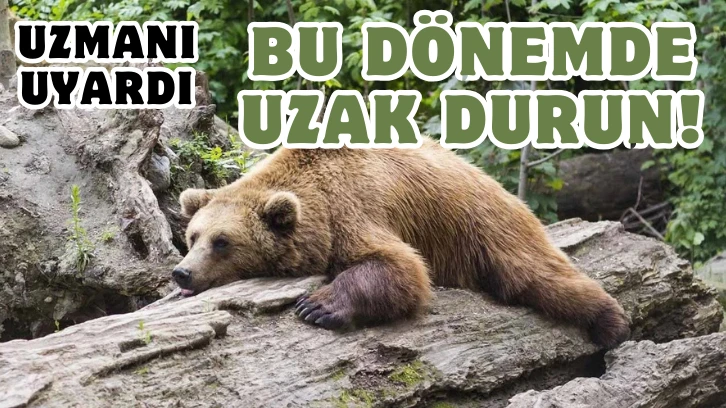 Uzmanı Uyardı: Bu Dönemde Uzak Durun! 