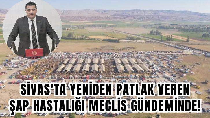Sivas'ta Yeniden Patlak Veren Şap Hastalığı Meclis Gündeminde!