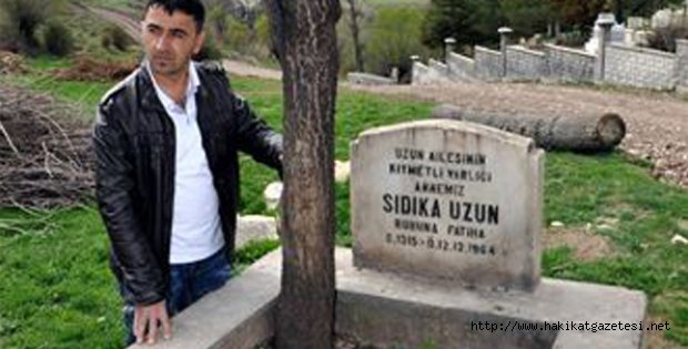 Mezarda erik var
