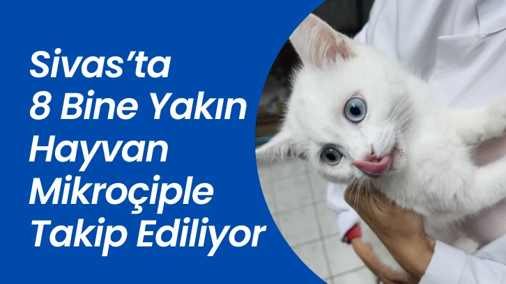 Sivas’ta 8 Bine Yakın Hayvan Mikroçiple Takip Ediliyor
