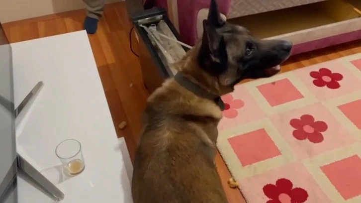 Narkotik Köpeği Elektrik Sobadaki Uyuşturucu Böyle Buldu