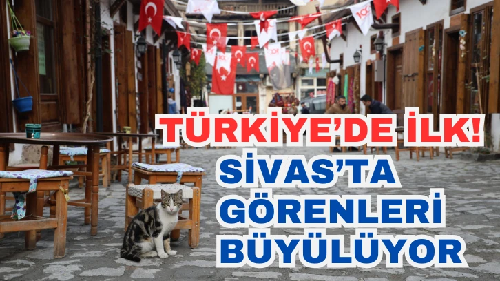 Türkiye'de İlk! Sivas'ta Bu Sokaktaki Bütün Esnaf Kadın 