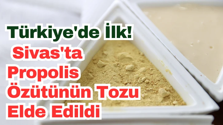 Türkiye'de İlk! Sivas'ta Propolis Özütünün Tozu Elde Edildi