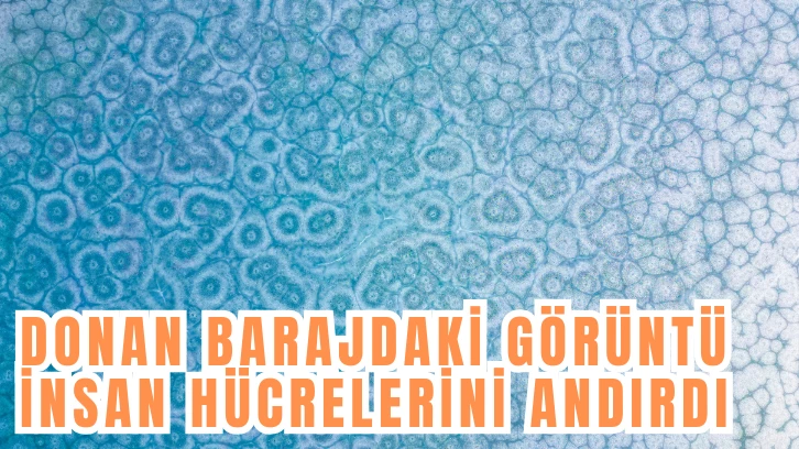 Donan Barajdaki Görüntü İnsan Hücrelerini Andırdı 
