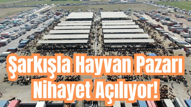 Şarkışla Hayvan Pazarı Nihayet Açılıyor! 